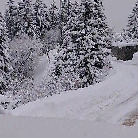 1650 - Cosy 6 Pers - Aux Pieds - Fr-1-514-85 Apartment Courchevel