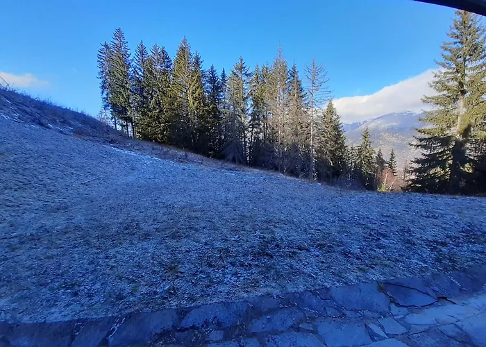 1650 - Cosy 6 Pers - Aux Pieds - Fr-1-514-85 * Courchevel