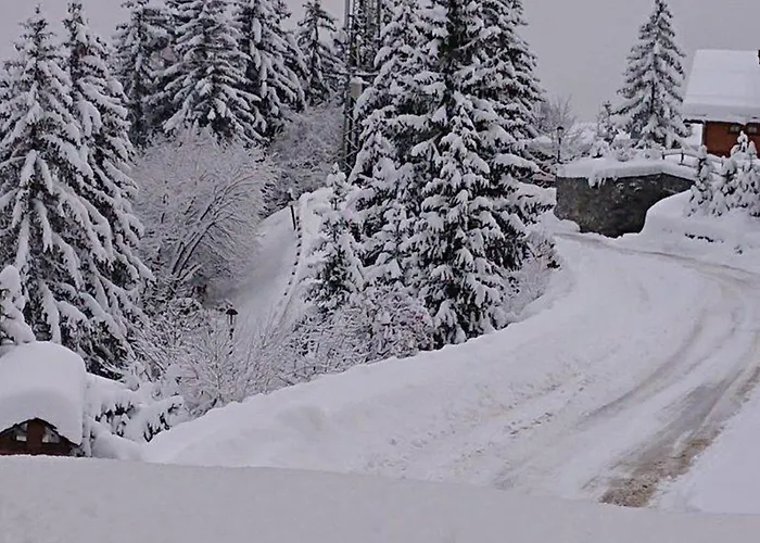 1650 - Cosy 6 Pers - Aux Pieds - Fr-1-514-85 Lejlighed Courchevel